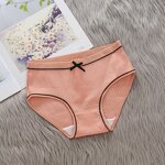 Ladies Panties Supplier - Cotton Seamless Sweet Comfort