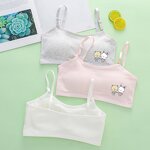 Girls Vest Bra Supplier - Adjustable Shoulder Strap Sports