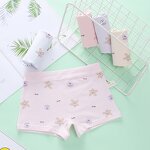 Children's Boxer Pants Factory - Wholesale Low-Rise Custom Logo