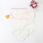 Women's Cotton Briefs Factory - Cartoon Print Mid-Waist OEM
