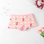 Girls Cotton Panties Supplier - Factory Wholesale 3-8 Years
