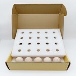 Egg Carton Manufacturer - OEM/ODM Custom Corrugated Chicken Egg Box