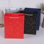 Paper Bag Manufacturer - OEM/ODM Custom Recyclable Paper Window Shopping Bag