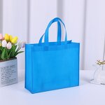 Shopping Tote Bag Manufacturer - OEM/ODM Custom Non Woven Laminated Bag