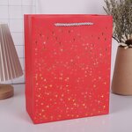 Paper Bag Manufacturer - OEM/ODM Custom Red Printed Clothing Shopping Bag