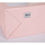 Paper Bag Manufacturer - OEM/ODM Custom PVC Window Shopping Gift Bag