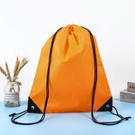 Paper Bag Manufacturer - OEM/ODM Custom Recyclable PP Woven Shopping Bag