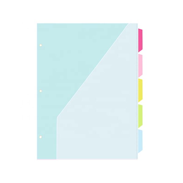 Document Protection Bag Manufacturer - Creative Macaron 5-Pack