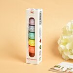Highlighter Set Factory - Custom Macaron Soft Tip Round