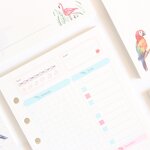 Index Divider Supplier - Domikee Cute Creative Gold Foil A6