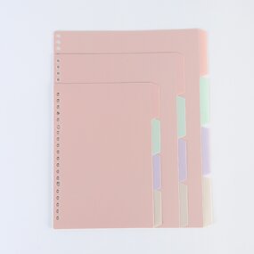 Card Storage Bag Factory - 6/21 Holes School Student PVC