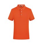 Polo Shirt Manufacturer - OEM/ODM Custom Lapel Quick-Drying Sports T-shirt
