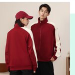 Hoodie Manufacturer - OEM/ODM Custom Unisex 350g Polyester Sports Zipper