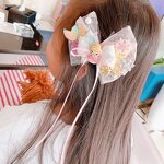 Hair Claw Clips Manufacturer - OEM/ODM Custom Flower Ponytail Extension Clips