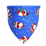 Pet Scarf Set Manufacturer - OEM/ODM Custom 4pcs Tropical Fruit Triangle Bandana