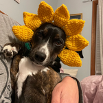 Crochet Hat Manufacturer - OEM/ODM Custom Cat Knitted Hut Ear Holes