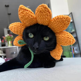 Crochet Hat Manufacturer - OEM/ODM Custom Cat Knitted Hut Ear Holes