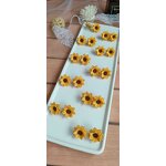 Crochet Earring Manufacturer - OEM/ODM Custom Circle Bowknot Wedding Dangler