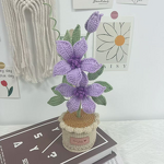Crochet Pot Manufacturer - OEM/ODM Custom Clematis Flower Festival Gift