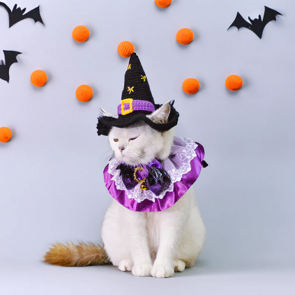 Pet Hat Manufacturer - OEM/ODM Custom Crocheted Witch Halloween Cat Hat