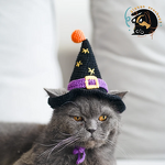 Pet Hat Manufacturer - OEM/ODM Custom Crocheted Witch Halloween Cat Hat