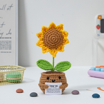 Crochet Potted Plants