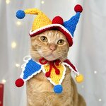 Pet Costume Set Manufacturer - OEM/ODM Custom Crocheted Clown Halloween Outfit