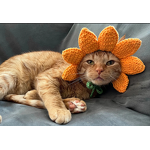 Crochet Hat Manufacturer - OEM/ODM Custom Cat Knitted Hut Ear Holes