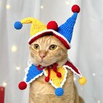 Pet Costume Set Manufacturer - OEM/ODM Custom Crocheted Clown Halloween Outfit