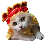 Pet Hat Manufacturer - OEM/ODM Custom Acrylic Crocheted for Cat Hats