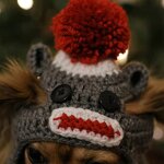 Pet Hat Manufacturer - OEM/ODM Custom Crochet Gray Hat Dog Cat Wear