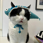 Crochet Toy Manufacturer - OEM/ODM Custom Cat Head Hat Children Gift