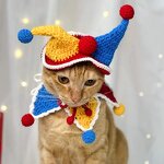 Pet Costume Set Manufacturer - OEM/ODM Custom Crocheted Clown Halloween Outfit