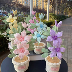 Crochet Pot Manufacturer - OEM/ODM Custom Clematis Flower Festival Gift