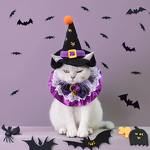 Pet Hat Manufacturer - OEM/ODM Custom Crocheted Witch Halloween Cat Hat