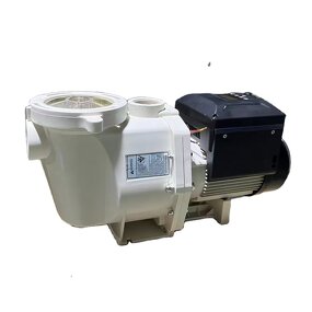 Swimming Pool Pump Manufacturer - OEM/ODM 2.2HP 6FT Variable Speed White