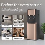 Water Dispenser Manufacturer - OEM/ODM Hot Cold with RO Filter Electric