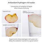 Hydrogen Water Cup Manufacturer - OEM/ODM Portable SPE PEM H2 Electrolysis