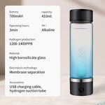 Hydrogen Water Bottle Manufacturer - OEM/ODM USB Rechargeable High Borosilicate