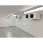 Walk-in Cold Storage Supplier - Prefabricated Meat Fish Freezer Chamber