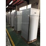 Chest Freezer Supplier - Commercial Stainless Steel Deep Freezer