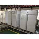 Commercial Refrigerator Supplier - Factory Price Vegetable Freezer