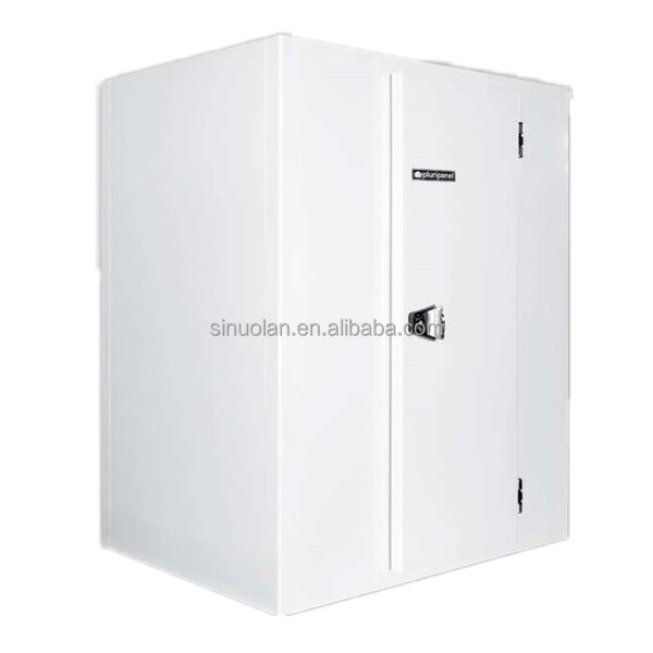 Cold Room Door Manufacturer - Swing Glass Sliding Fireproof Panel