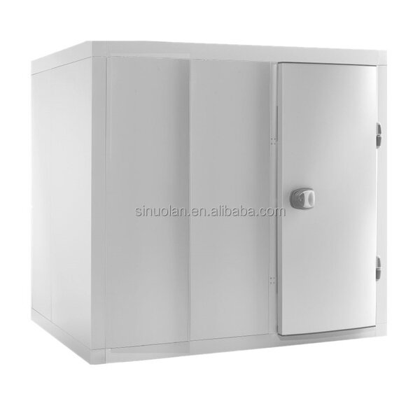 Walk in Cooler Supplier - Fish Chicken Freezer Cold Storage