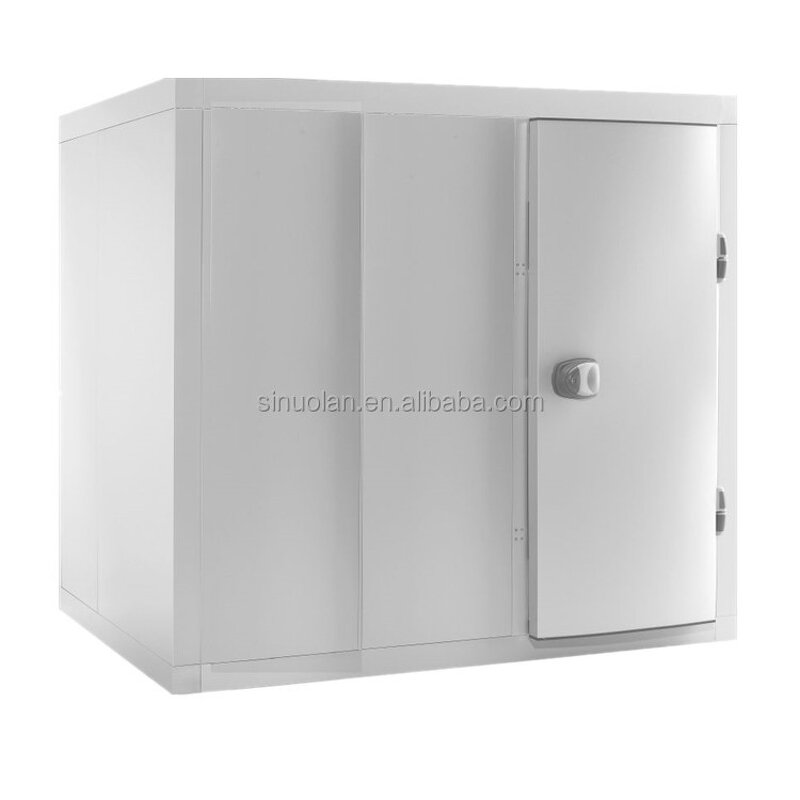 Walk in Cooler Supplier - Fish Chicken Freezer Cold Storage