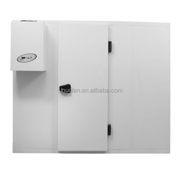 Refrigerated Cold Room Supplier - Frozen Storage for Meat Fish