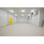 Blast Freezer Factory - Industrial Frozen Food Construction