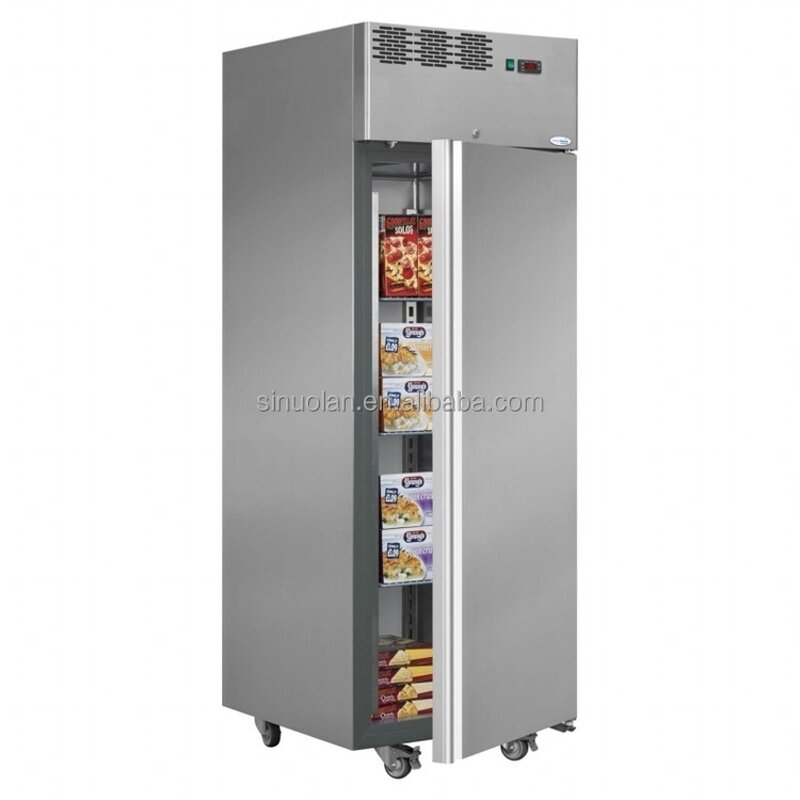 Upright Freezer Factory - Stainless Steel High Ambient Fridge