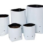 Seedling Bag Manufacturer - OEM/ODM Custom PE Planting Bag Greenhouse