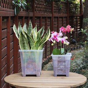 Clear Pot Manufacturer - OEM/ODM Custom Root Control for Cattleya Planting
